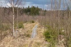 Oelbach_12.jpg