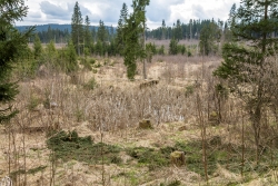 Oelbach_15.jpg