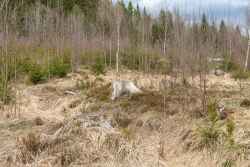 Oelbach_17.jpg