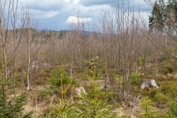 Oelbach_18.jpg