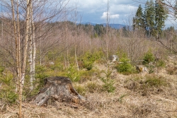 Oelbach_20.jpg
