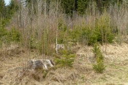 Oelbach_21.jpg