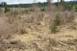 Oelbach_23.jpg
