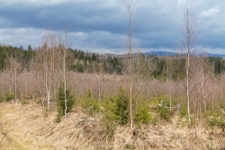 Oelbach_24.jpg