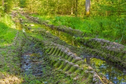 verschlammte Rückegasse mit tiefen Bodengleisen