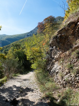 Klimastabiler_Mischwald-12