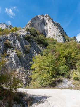 Klimastabiler_Mischwald-24