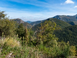 Klimastabiler_Mischwald-37
