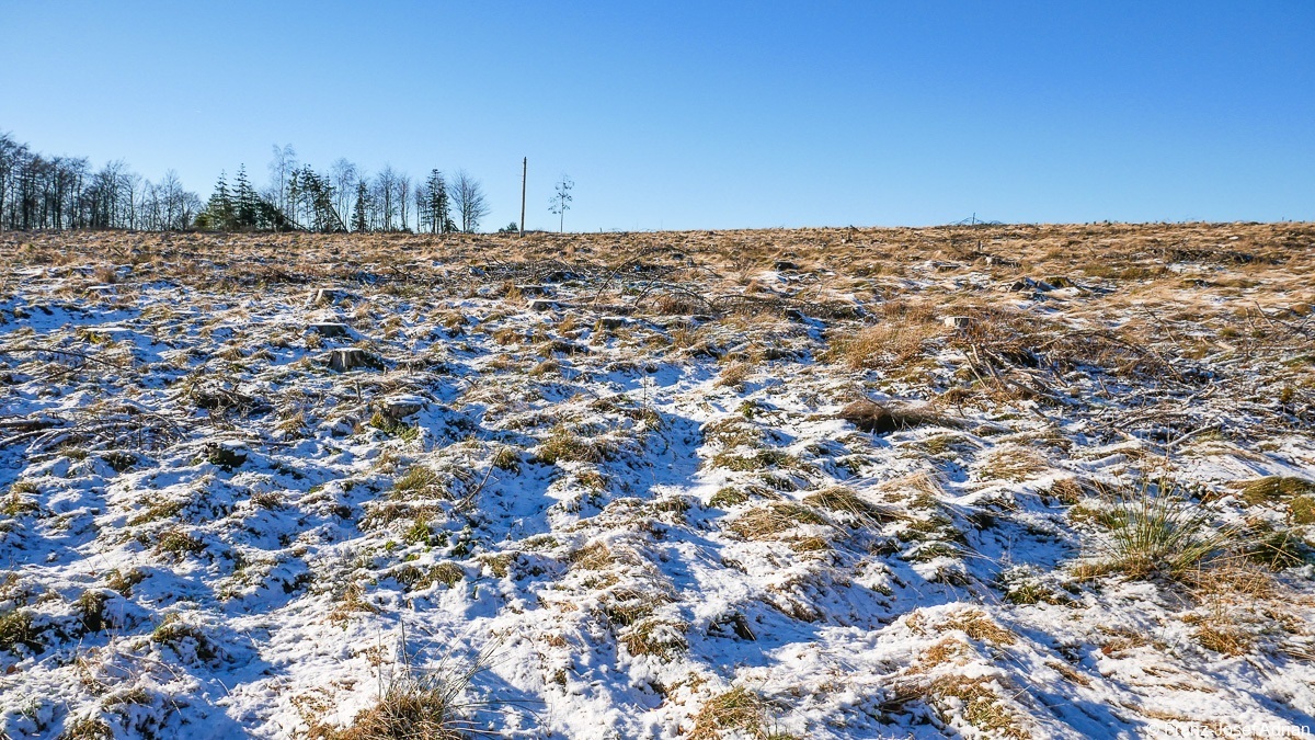 Plackweg-8