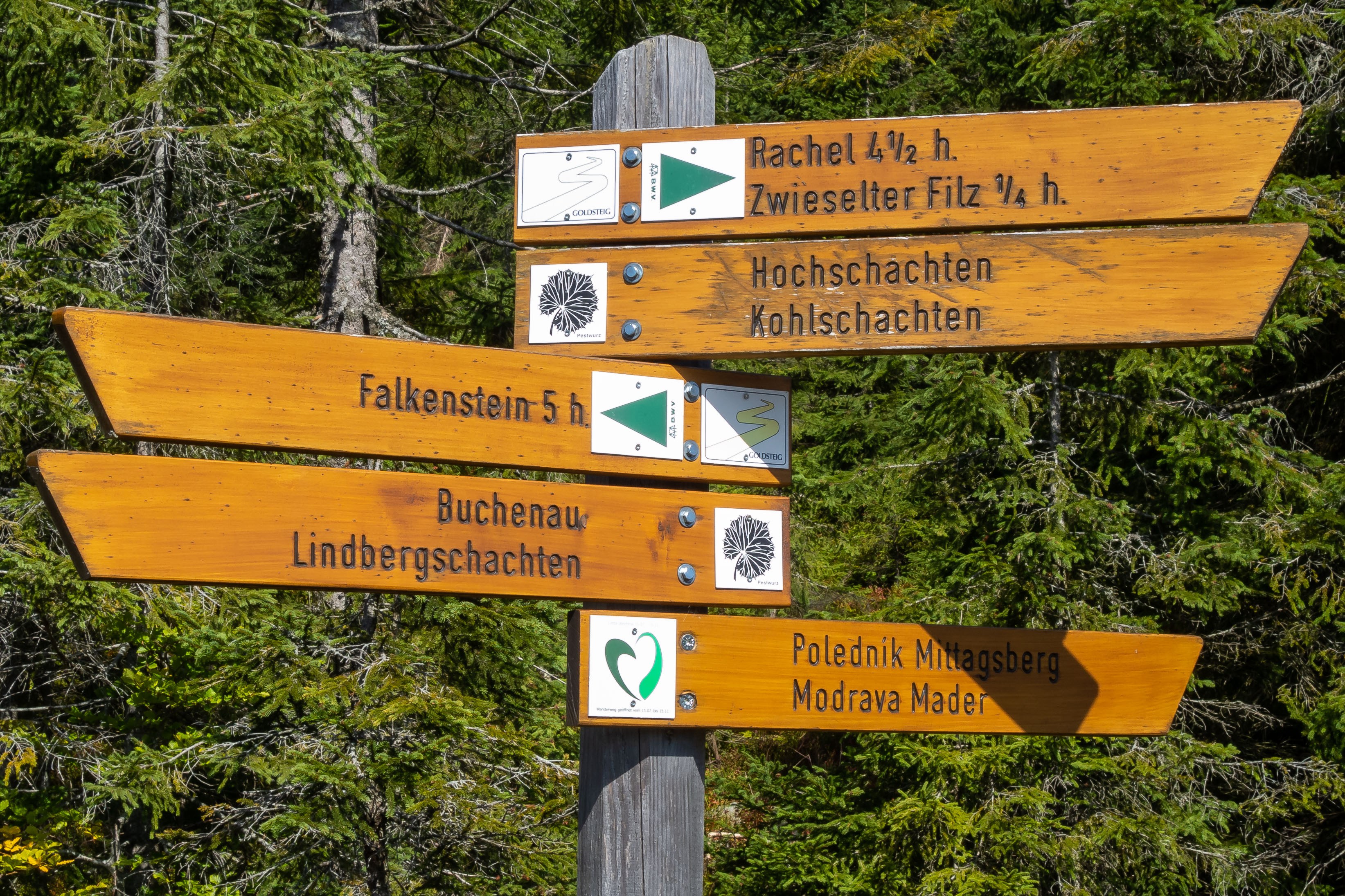 Buchenau_Polednik