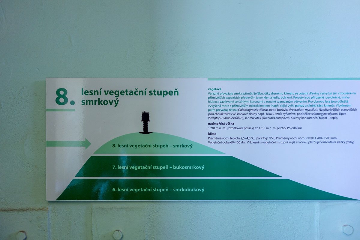 Fichtenstufe