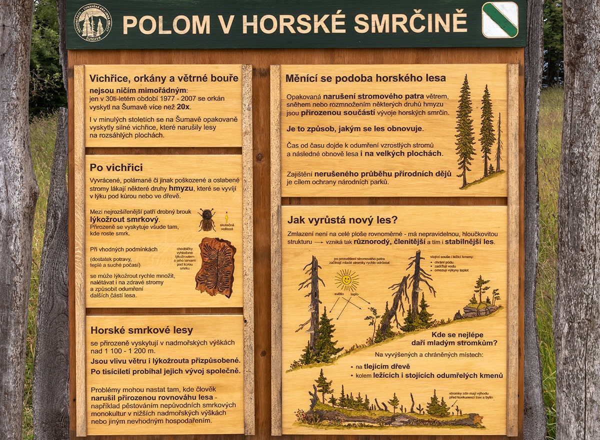 Informationsschild_Borkenkaefer
