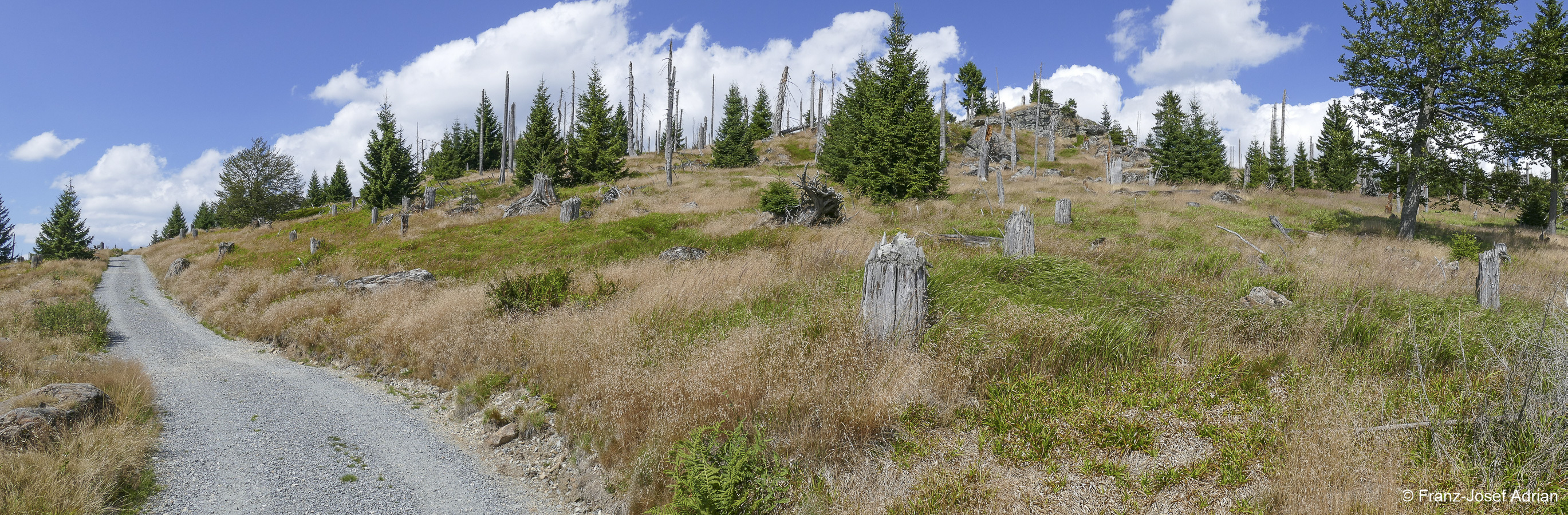 Rachel-Waldsteppe-Panorama-2