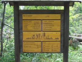 Infoschilder_Rachel-3