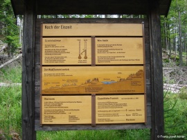 Infoschilder_Rachel-4