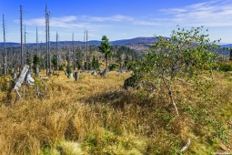 Rachelnord_4.jpg