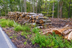 Holzpolter_04