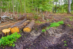 Rueckegassen_01