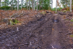 Rueckegassen_05