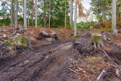 Rueckegassen_07