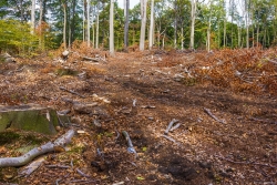 Rueckegassen_08