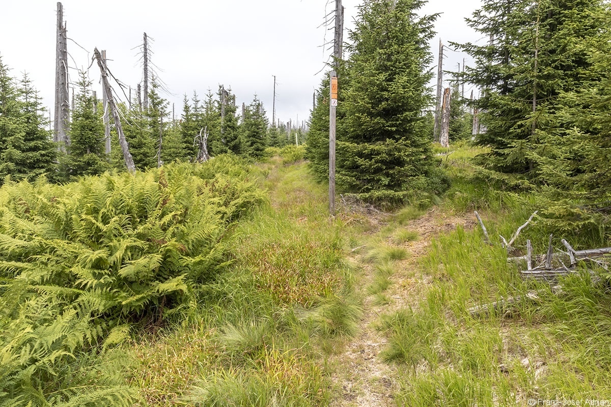 Grenzsteig_2