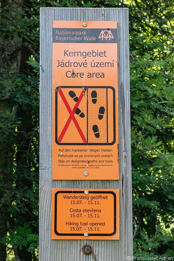 Schild