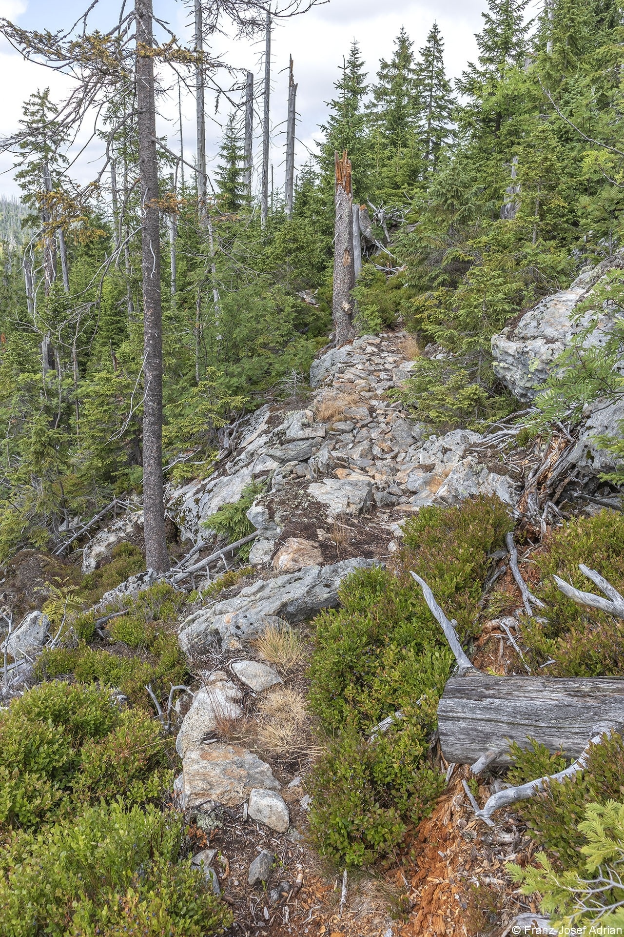 Steinfleckberg_5