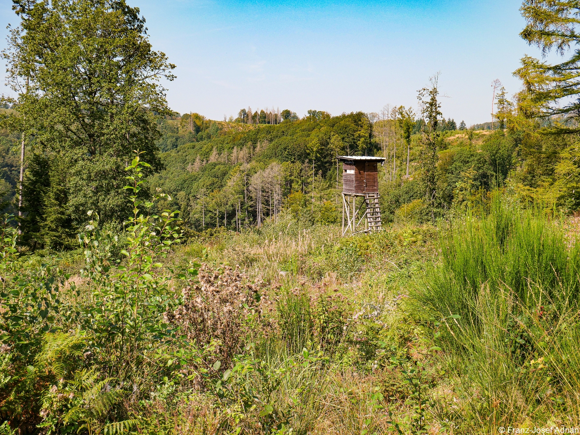 Rommersberg-Weidenroeschen-HD-4