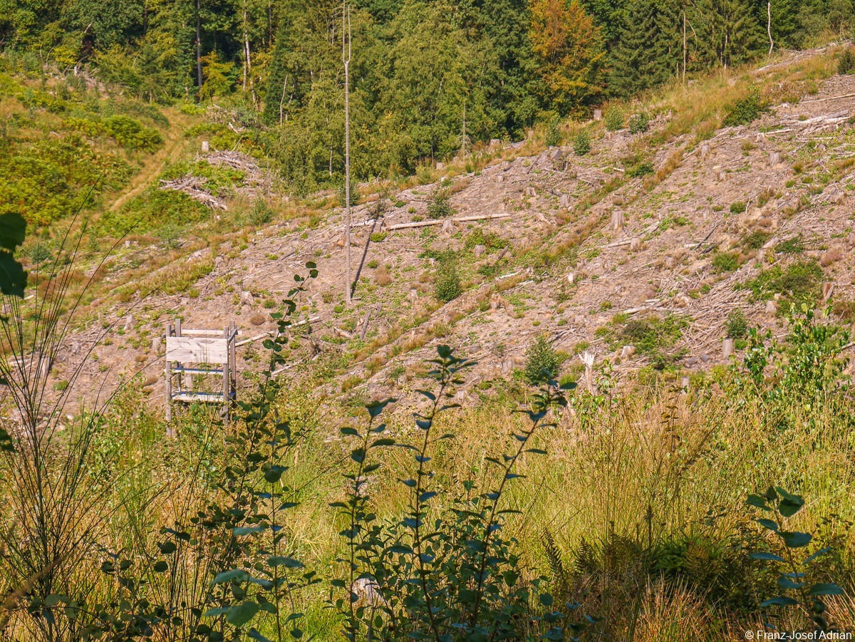 Rommersberg-Tele-7