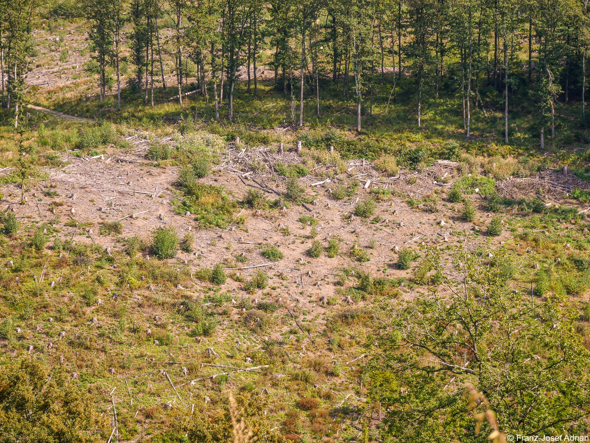 Rommersberg-Tele-HD-8