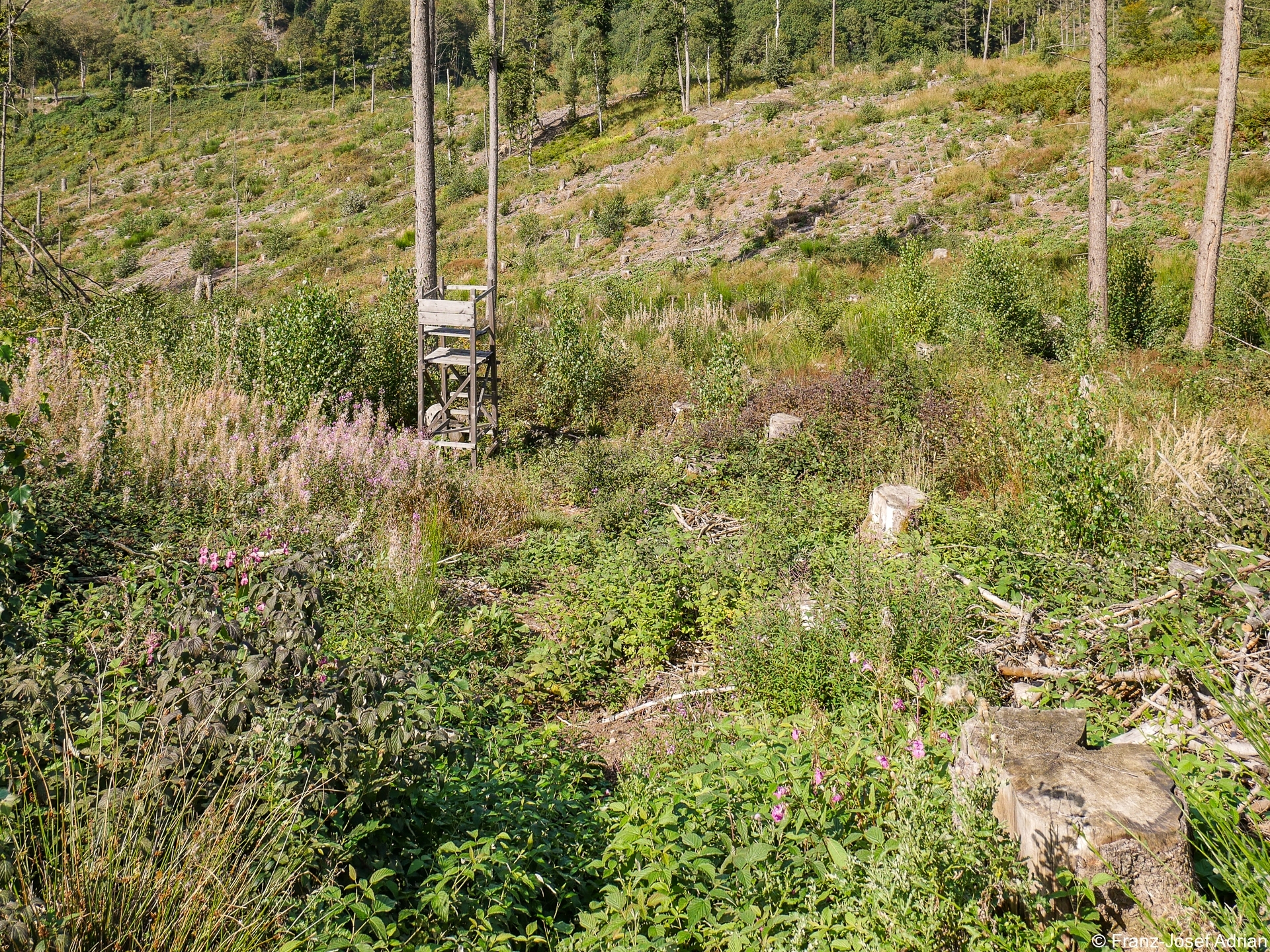 Rommersberg_HD-3