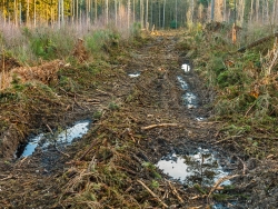 stellenweise fehlende Reisigauflage, Pfützen und Bodengleise