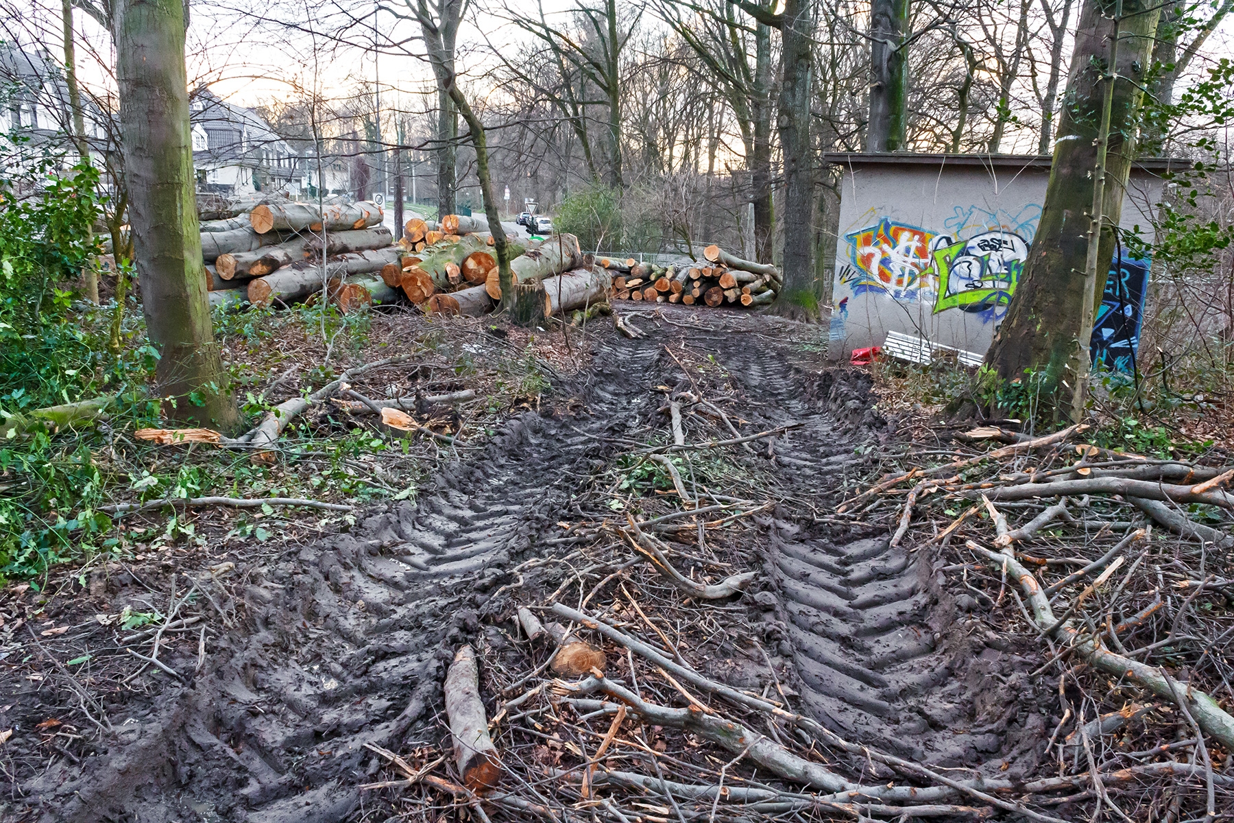 "bodenschonende" Holzbringung