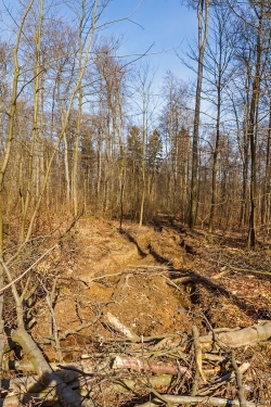 Rückegasse mit halbmetertiefen Bodengleisen