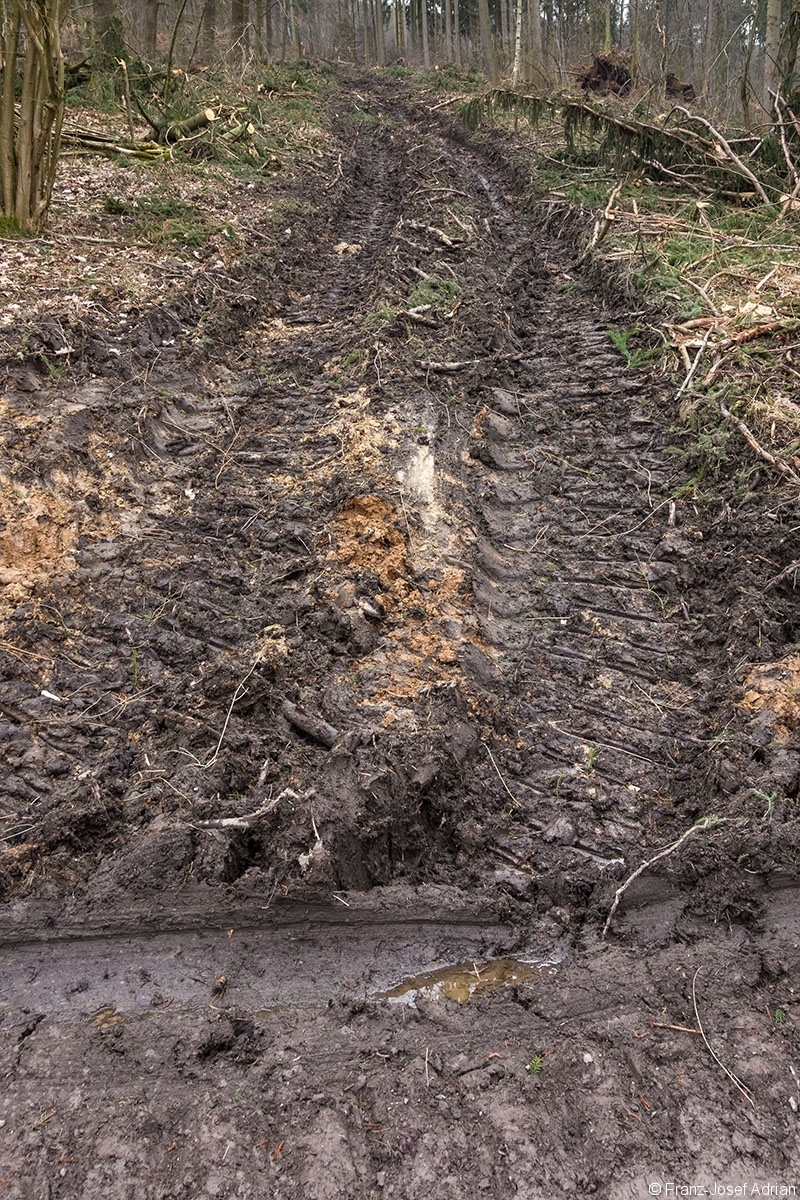 Panzerstrasse_Rumbeck_1