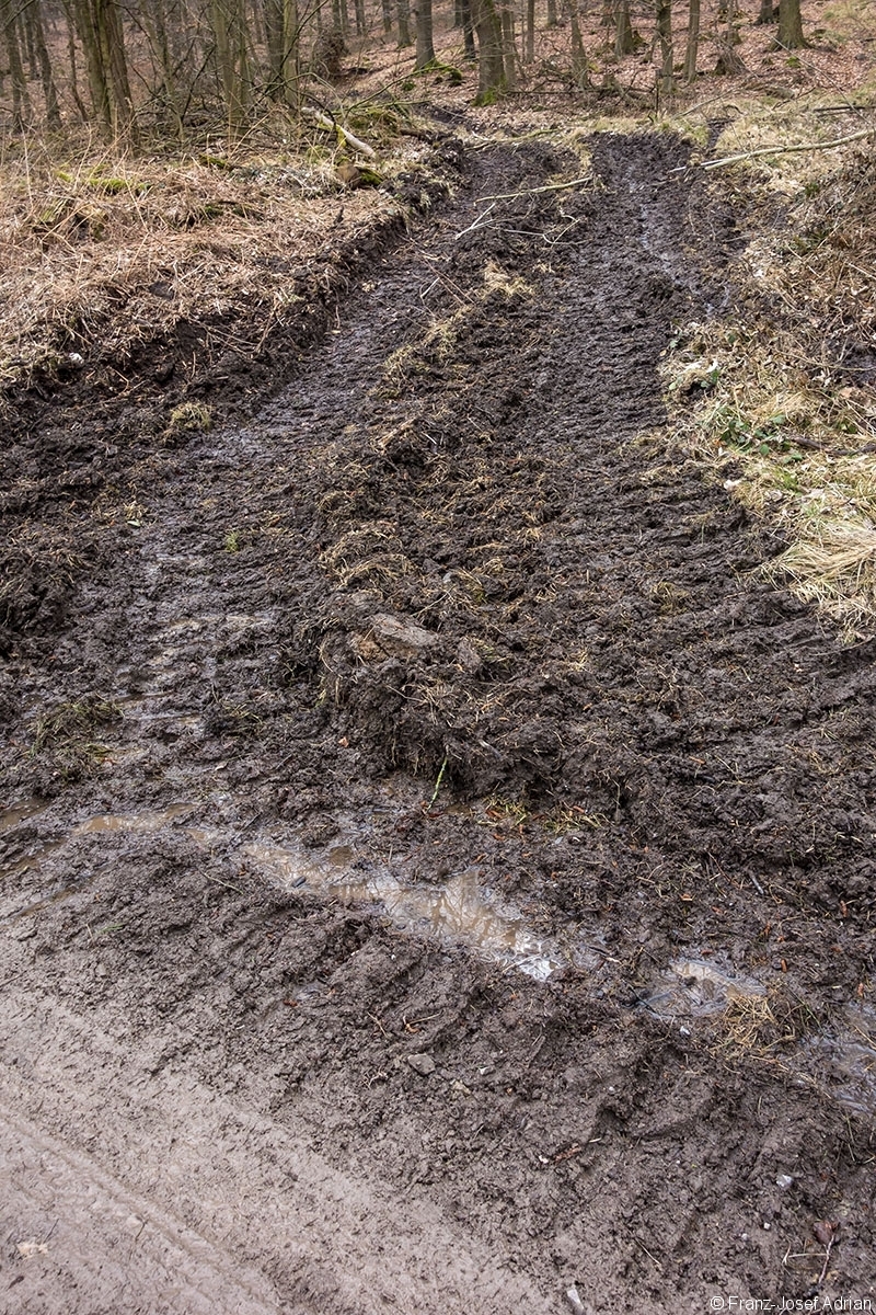 Panzerstrasse_Rumbeck_2