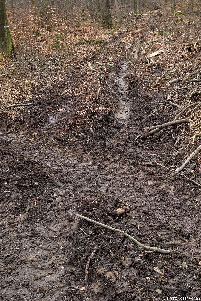 Panzerstrasse_Rumbeck_3
