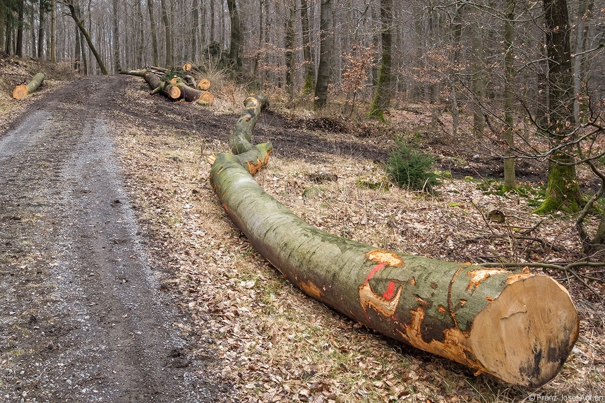 Rumbeck_Ausverkauf_01