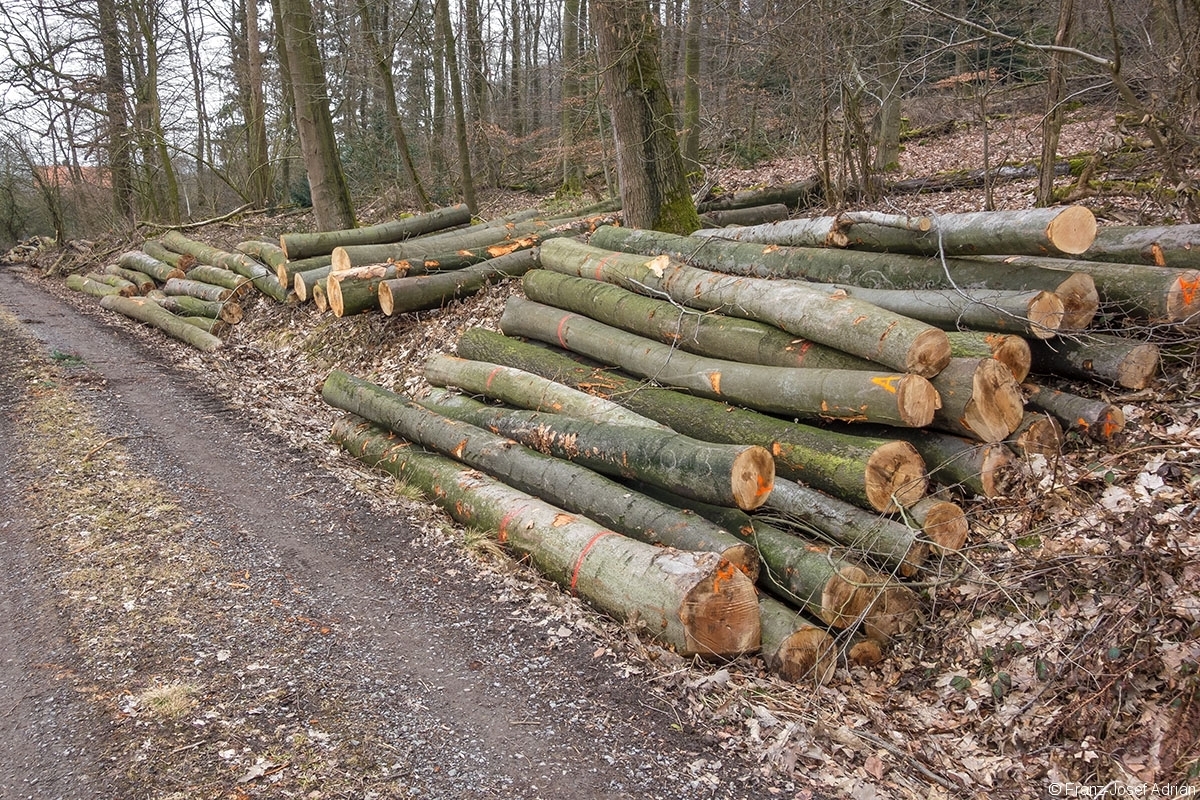 Rumbeck_Ausverkauf_02