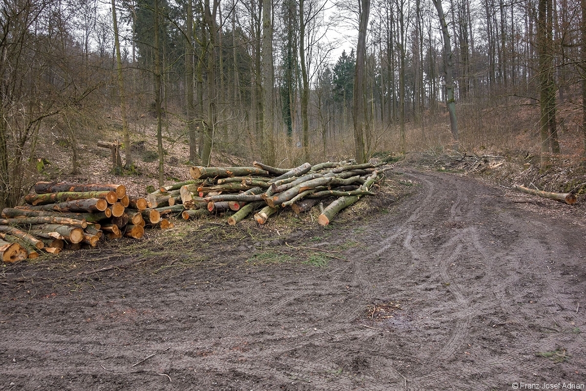 Rumbeck_Ausverkauf_03