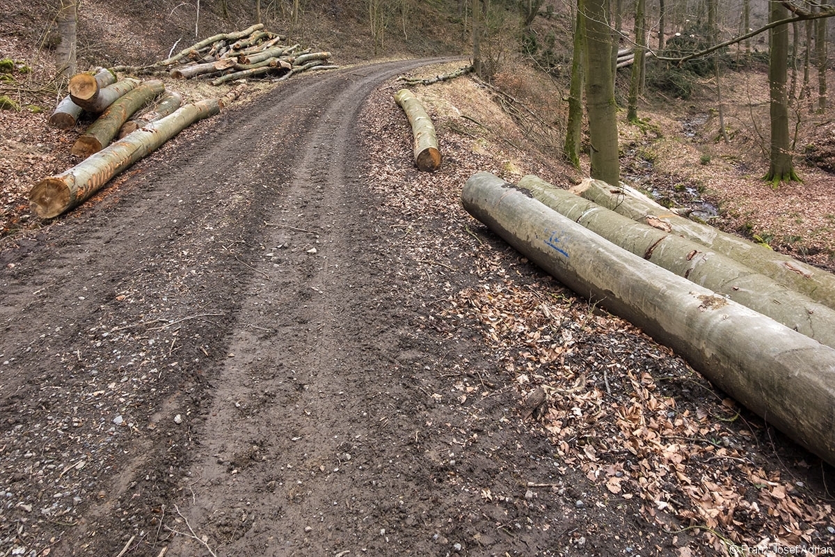 Rumbeck_Ausverkauf_06