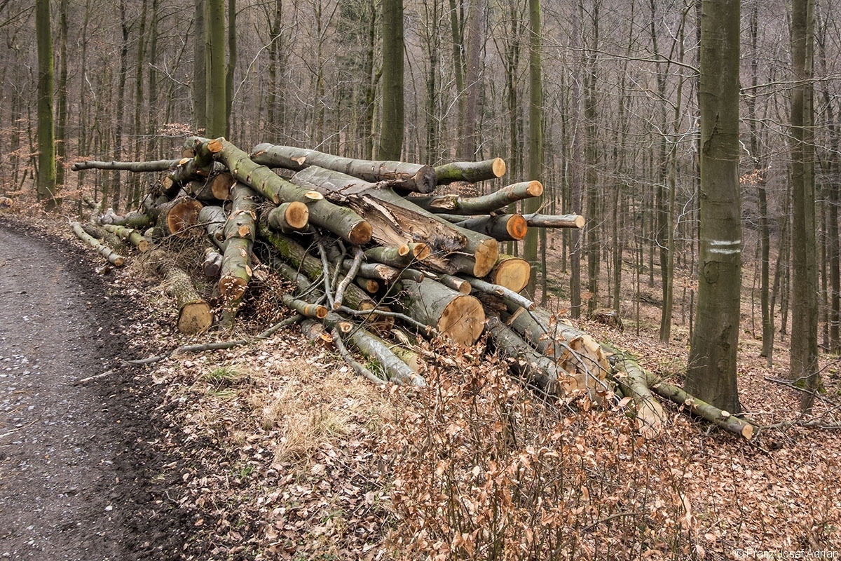 Rumbeck_Ausverkauf_07
