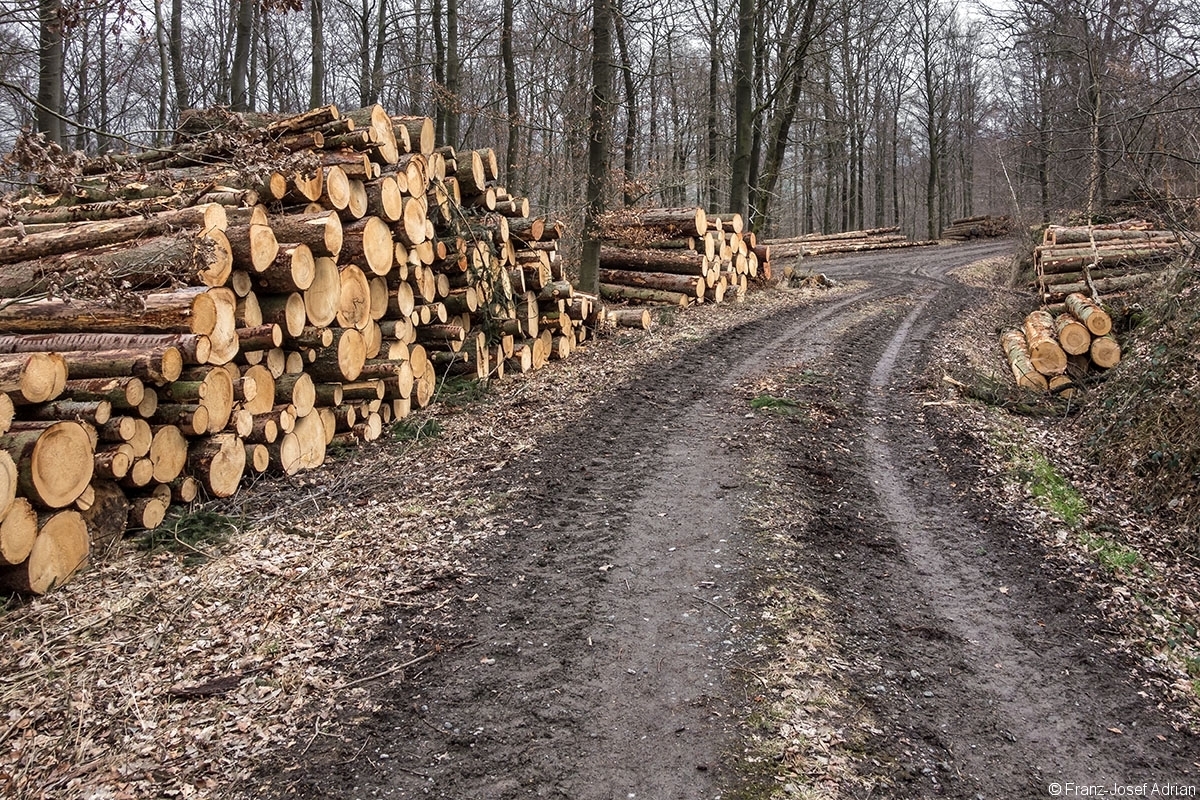 Rumbeck_Ausverkauf_08