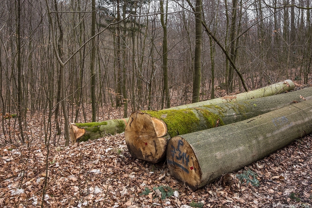 Rumbeck_Ausverkauf_09