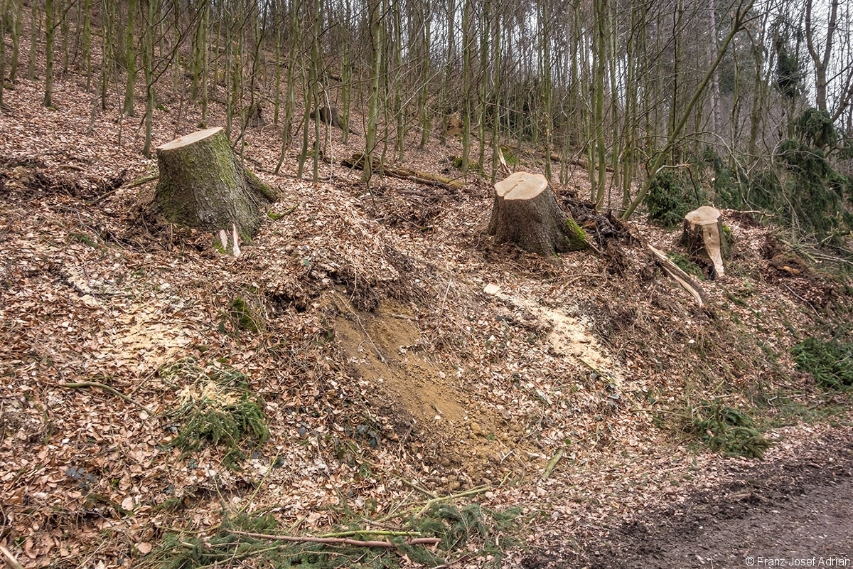 Rumbeck_Ausverkauf_11