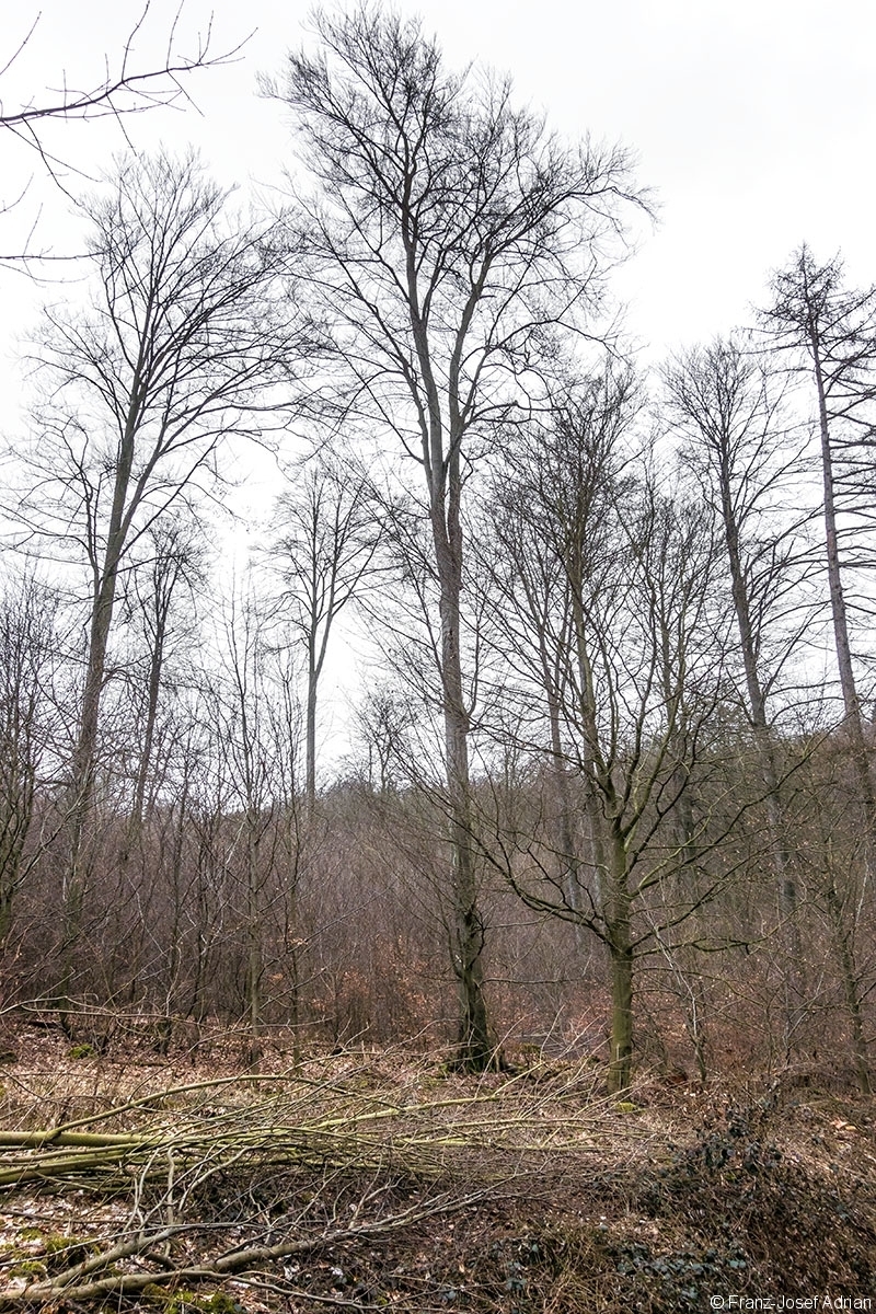 Ueberhaelter_Rumbeck_1