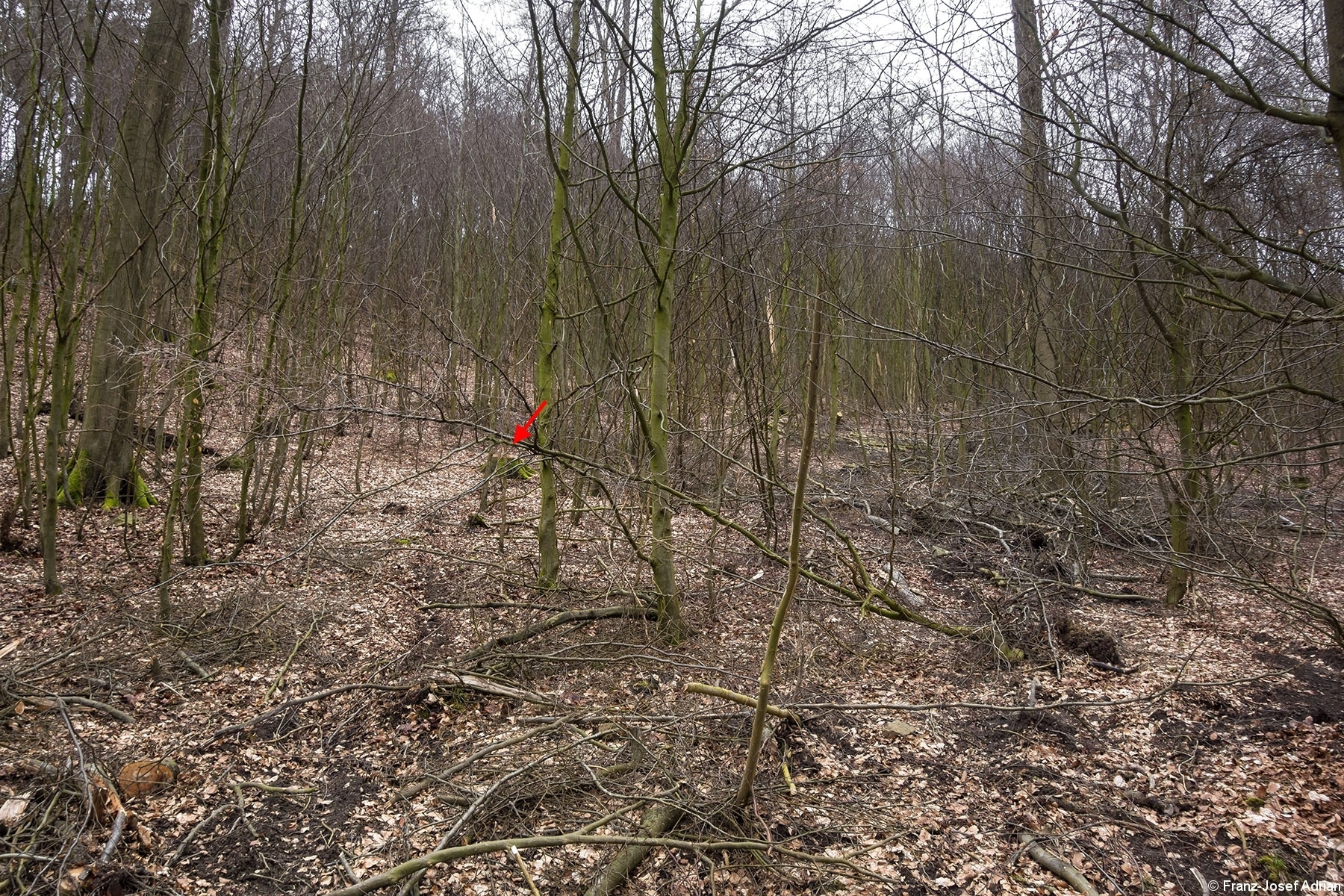 Ueberhaelter_Rumbeck_2