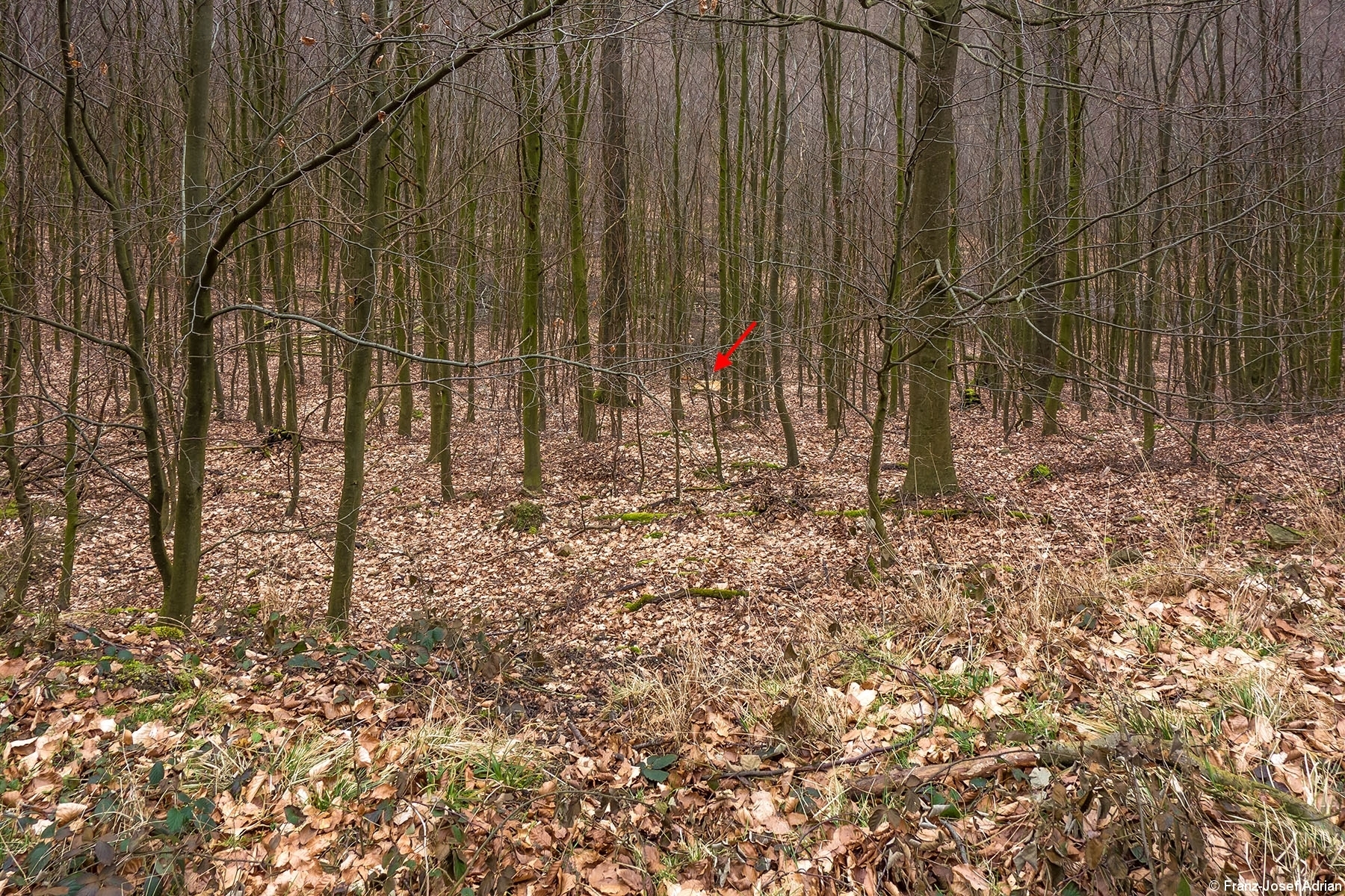 Ueberhaelter_Rumbeck_3