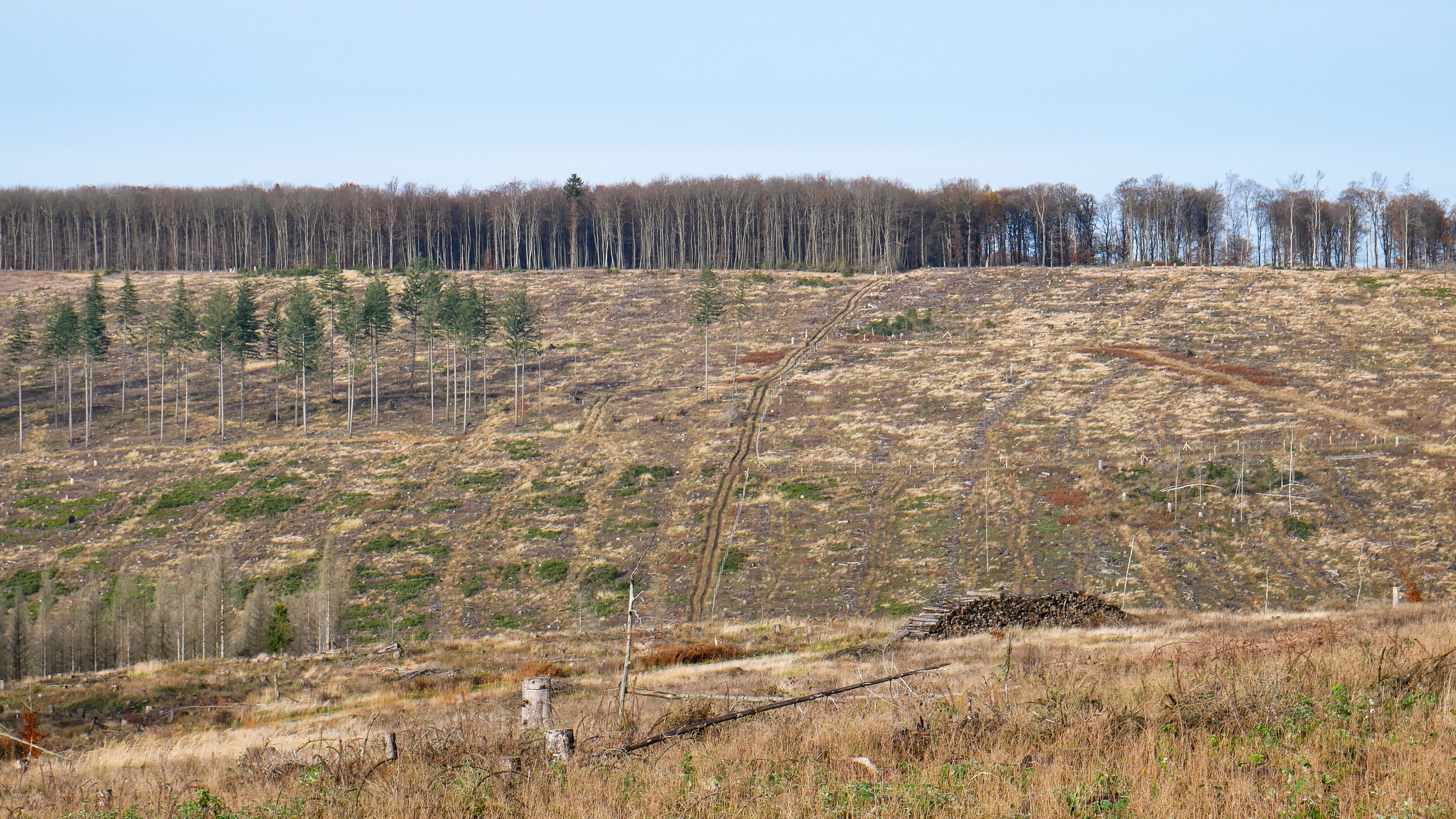 Sauerland-1